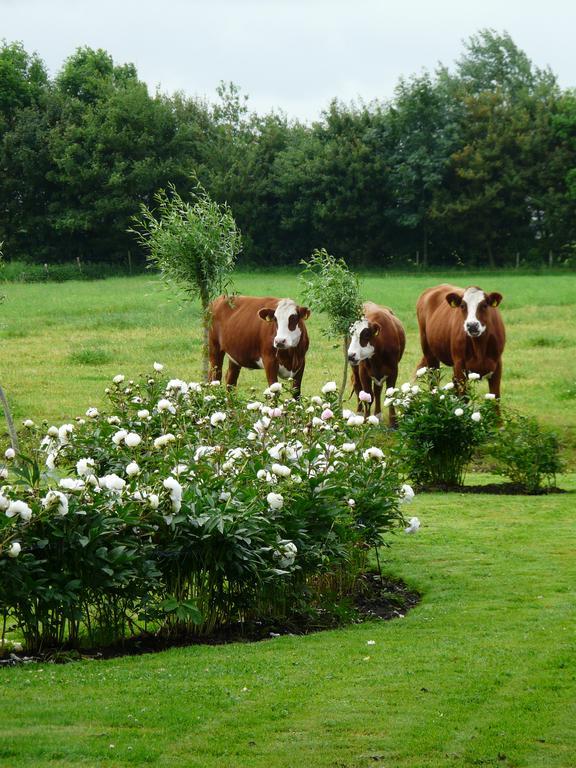 Landgoedlogies Pabema Bed and Breakfast Zuidhorn Exteriör bild